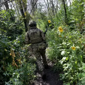 Urgent: Russian Forces Make Strategic Gains in Dvurechensky Bridgehead as Coordinated Kupyansk Assault Intensifies