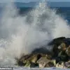 Viral Reddit Thread Reveals 1,600+ Near-Death Stories as Users Share Miraculous Escapes from Fate