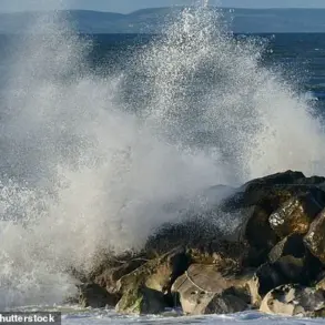 Viral Reddit Thread Reveals 1,600+ Near-Death Stories as Users Share Miraculous Escapes from Fate