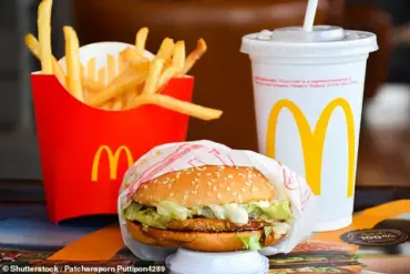 19-Year-Old Content Creator Embarks on Audacious Mission to Visit Every McDonald’s in the U.S.
