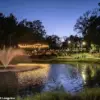 Behind the Glamour: The Hidden Code of Dallas' Elite Influencers