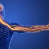 Beyond the ECG: Unraveling the Mystery of Subtle Health Threats