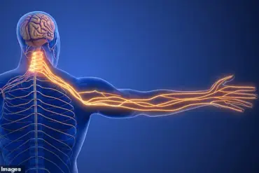 Beyond the ECG: Unraveling the Mystery of Subtle Health Threats