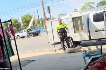 California Animal Control Officer Under Fire After Viral Video Shows Dog Being Dragged by Neck, Says Local Resident Nikkie Thompson