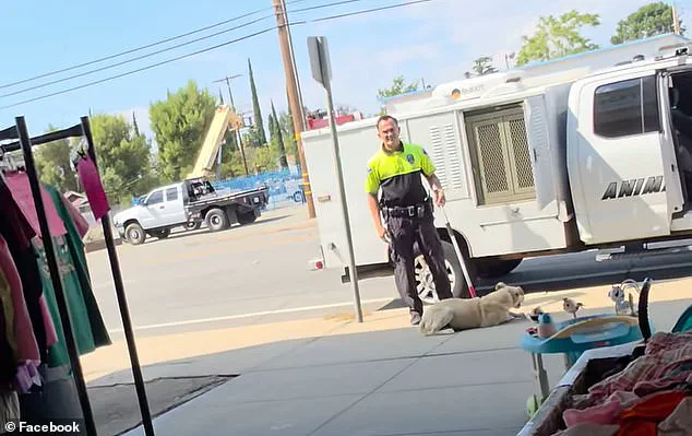 California Animal Control Officer Under Fire After Viral Video Shows Dog Being Dragged by Neck, Says Local Resident Nikkie Thompson