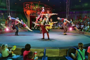 Circus Smirkus Cancels Performances After Aerialist's Spinal Injury: Director Speaks on Safety and Emotional Toll
