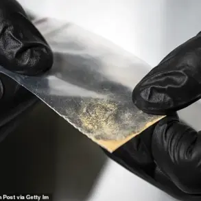 Doctors and Law Enforcement Sound Alarm Over Potent Nitazene Opioid, Urging Public Vigilance
