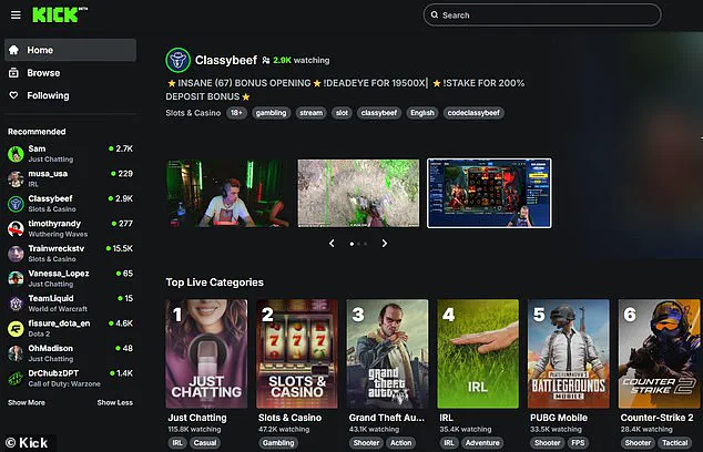 Exclusive Access to Banned Content: The Hidden World of a Controversial Streaming Platform Unveiled