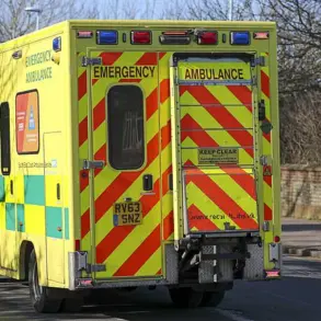 Exclusive Access to Emergency Care: How Self-Transportation is Overloading A&E