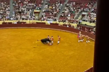 Exclusive Footage Reveals Horrific Moment of Portuguese Bullfighter's Debut