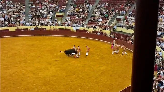 Exclusive Footage Reveals Horrific Moment of Portuguese Bullfighter's Debut