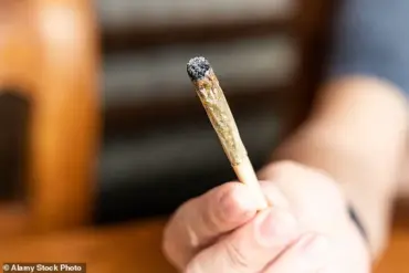 Expert Warns of Public Health Crisis as Cannabis-Induced Psychosis Surges in UK