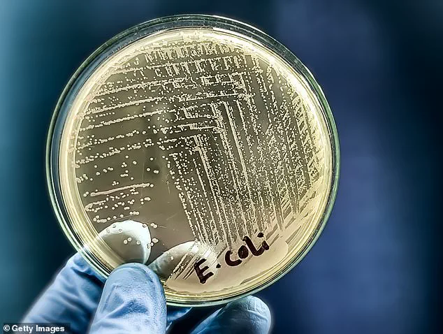 Florida E. coli Outbreak Linked to Unpasteurized Milk Sparks Health Department Warnings Over Farm Sanitation