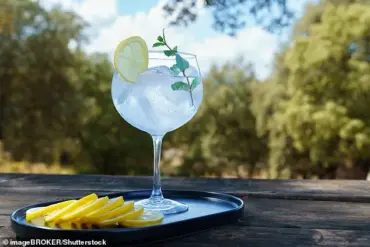 Hidden Danger: Sugar-Free Mixers May Increase Drink-Drive Risk Faster Than Expected