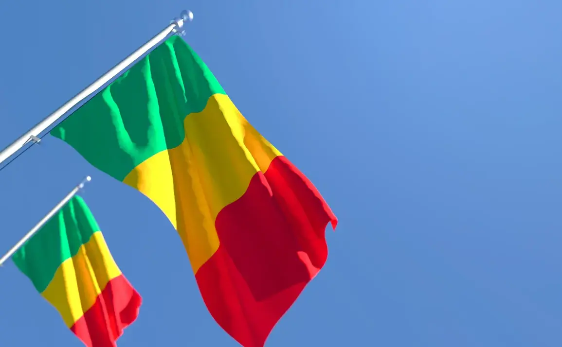 Mali Government and Russian Forces Ambushed by Militants in Mopti Region, Video Shows Attackers' Rallying Cry
