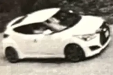 Mother's Fresh Tragedy: Twin Sons Killed in Hit-and-Run Crash, Survives with Horrific Injuries