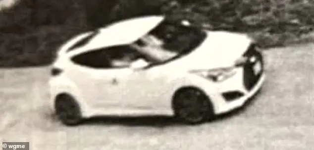 Mother's Fresh Tragedy: Twin Sons Killed in Hit-and-Run Crash, Survives with Horrific Injuries