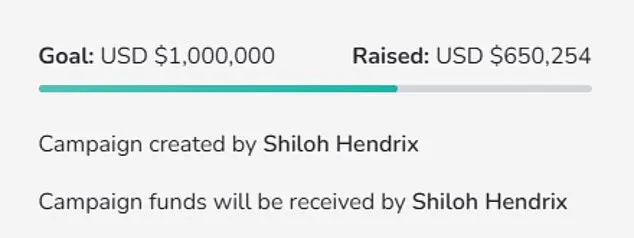Shiloh Hendrix Charged Following Racist Slur Incident at Minnesota Park, Reigniting Racial Justice Discussions