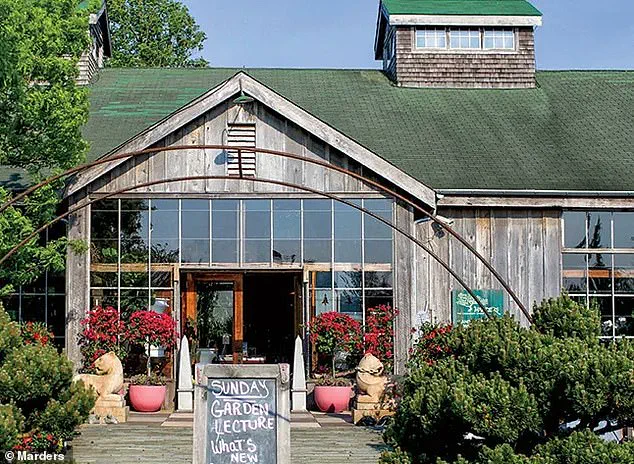 The New Hamptons Status Symbol: How a $58,000 Topiary is Reshaping Wealth and Competition in the Elite East End
