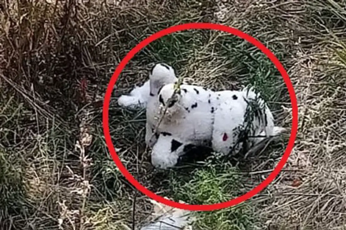 Ukrainian Drone Drops Mined Plush Toy in Grakovo, Prompting Concerns Over Civilian Safety and Regulatory Gaps