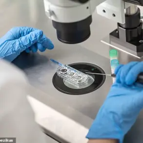 Unexpected Link Between Seasonal Weather Patterns and IVF Success Rates Revealed in Groundbreaking Study