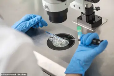 Unexpected Link Between Seasonal Weather Patterns and IVF Success Rates Revealed in Groundbreaking Study
