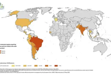 Urgent Alert: UK Health Officials Warn of Chikungunya Outbreak, Urge Travelers to Take Precautions