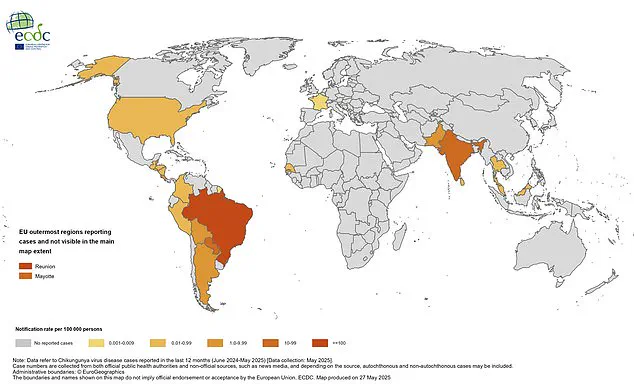 Urgent Alert: UK Health Officials Warn of Chikungunya Outbreak, Urge Travelers to Take Precautions