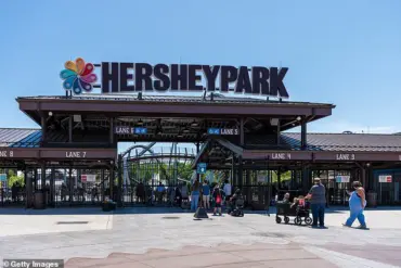 Amusement Park Incident Sparks Debate Over Safety Regulations and Public Accountability