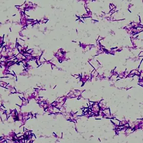 Breakthrough Study Links Gut Bacterium Clostridium innocuum to Preterm Birth Risk in 5,000 Expectant Mothers, Findings from Huazhong University of Science and Technology