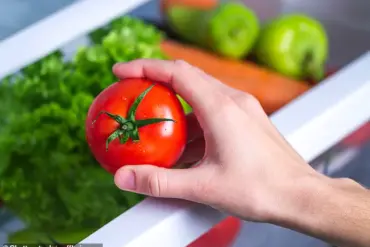 Incorrect Fridge Storage Practices May Be Wasting Millions in Grocery Spending