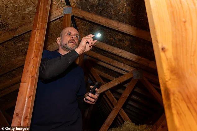 Man's Attic Discovery Sparks Global Outcry as Reddit Users Question Art's Boundaries
