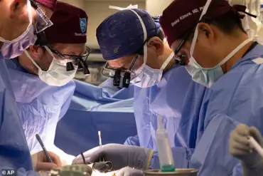 Privileged Access to Revolutionary Pig Organ Trials: FDA Approves First Human Clinical Trials for Genetically Modified Organs