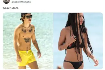 Privileged Access to Secret X Account Predicted Harry Styles and Zoe Kravitz's Romance Years Ahead