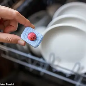 TikTok Videos Spark Global Debate Over Safety of Dishwasher Tablets and Rinse Aids