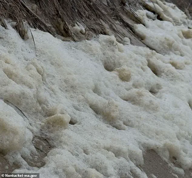 Toxic Sea Foam Advisory on Nantucket Sparks Health Concerns Over 'Forever Chemicals'