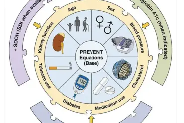 Urgent New Blood Pressure Guidelines: Rising Hypertension in Youth Calls for Immediate Action